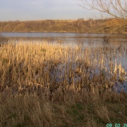 Photo of Catcliffe Flash LNR