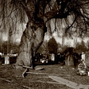 Photo of Beckenham Crematorium & Cemetery