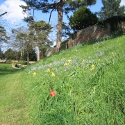 Photo of Wallingford Castle Gardens