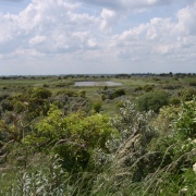 Photo of Gibraltar Point Nature Reserve