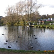 Photo of Vicar Water Country Park