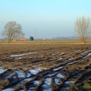 Photo of We plough the Fields and Scatter