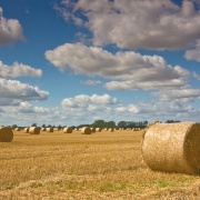 Photo of Hay bales