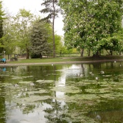 Photo of Colchester Castle Park