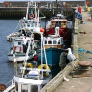 Photo of Helmsdale