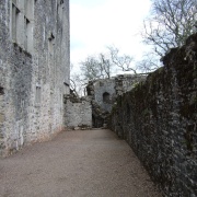 Photo of Berry Pomeroy Castle