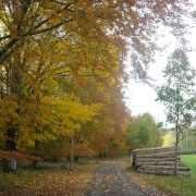 Photo of Chedworth Woods