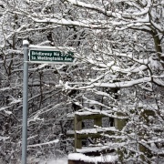 Photo of Havering Country Park