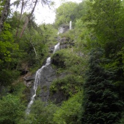 Photo of Canonteign Falls