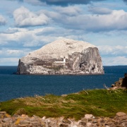 Photo of Bass Rock Lighthouse