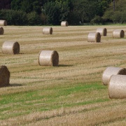 Photo of Upper Poppleton