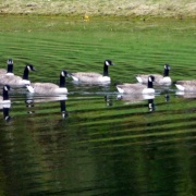 Photo of Hawkridge Reservoir