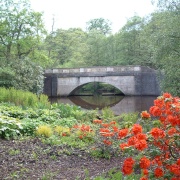 Photo of Savill Gardens