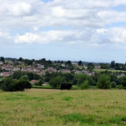 Photo of Crewkerne