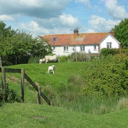 Photo of Rye Harbour Nature Reserve