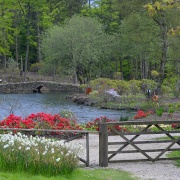 Photo of Himalayan Garden & Sculpture Park