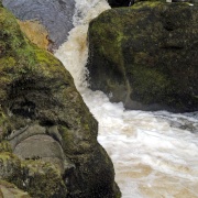 Photo of Bolton Priory