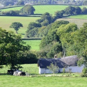 Photo of Ottery St Mary