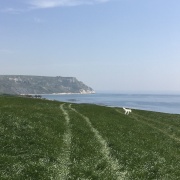 Photo of Osmington Mills