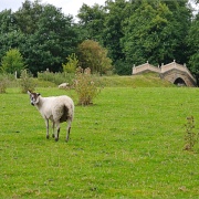 Photo of Worsbrough