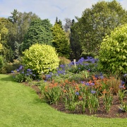 Photo of Bressingham Gardens