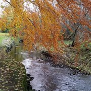 Autumn at Burnside