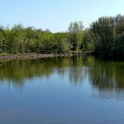 Photo of RSPB Old Moor