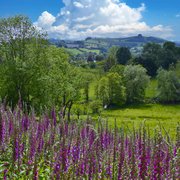 Photo of Aston on Clun