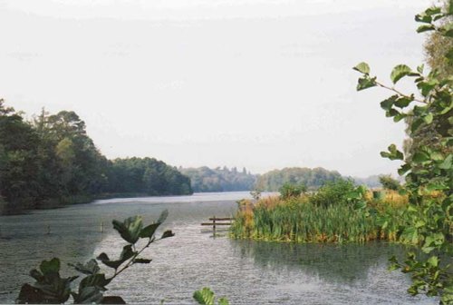 A picture of Trentham Gardens