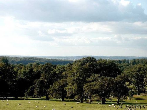 A picture of Longleat House & Safari Park