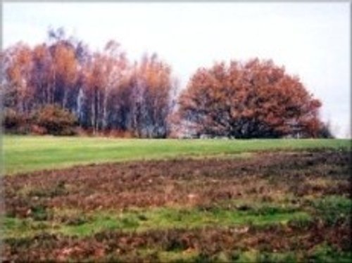 9th Fairway in Late Autumn