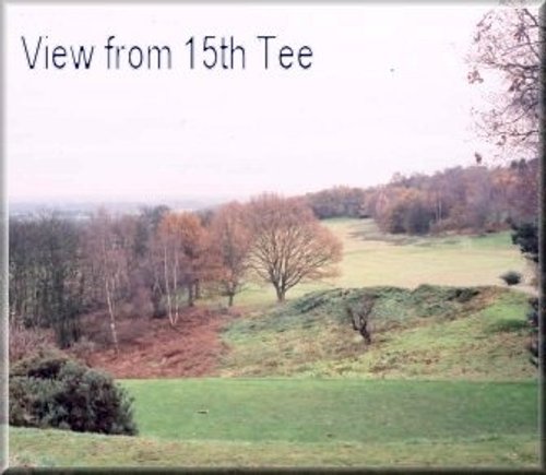 View from 15th tee