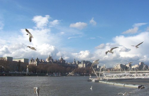 London Eye