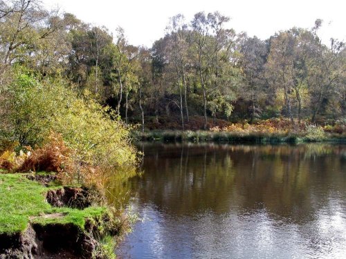 Cannock Chase Country Park