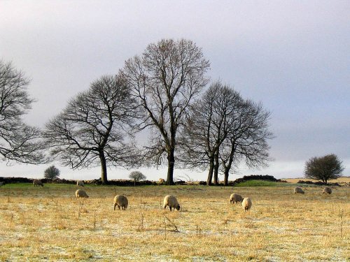 Middleton by Wirksworth