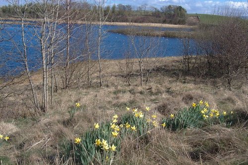 Fisher Tarn Reservoir