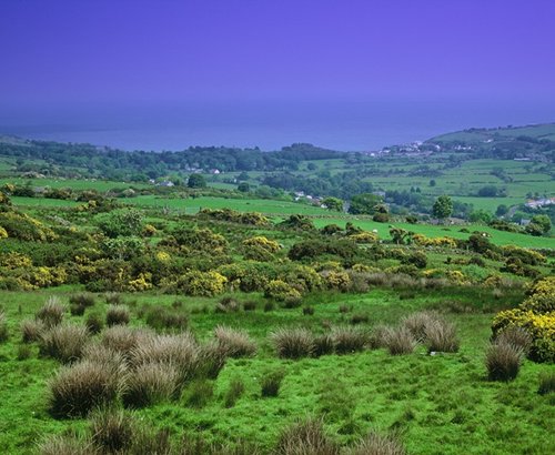 Emerald Isle County Antrim