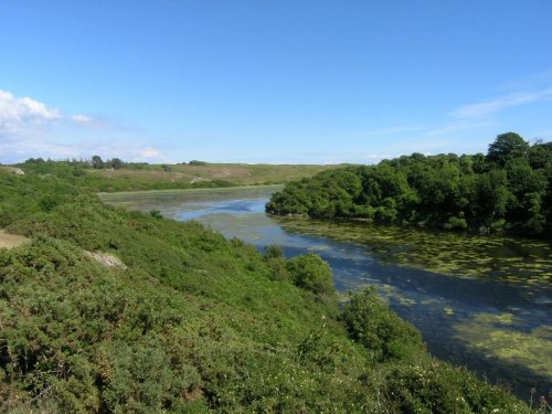 Bosherston lilly ponds, Pembrokeshire, Wales