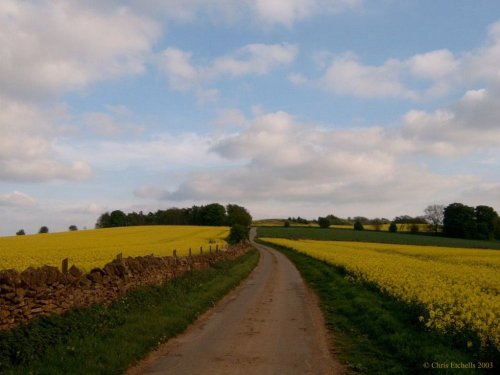 Salt Way above Winchcombe, Gloucestershire