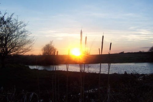 Ferry Meadows Country Park