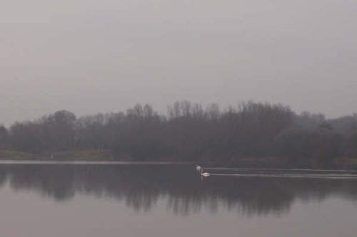 Ferry Meadows