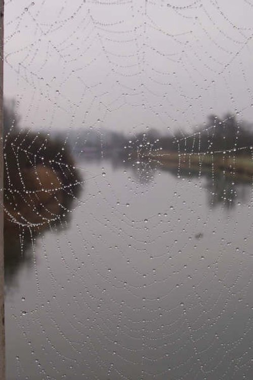 Ferry Meadows Country Park