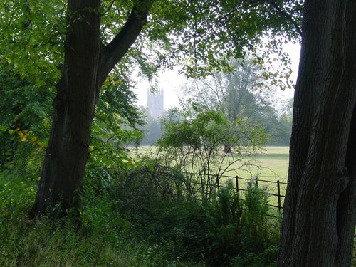 Magdalen Tower from the Deer Park