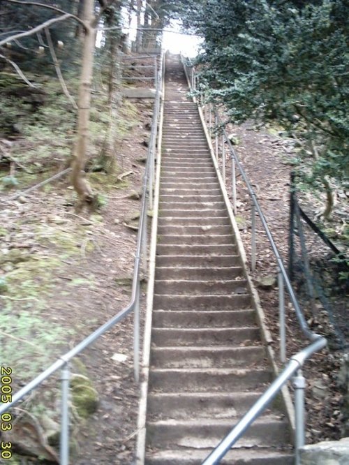 "Jacob's Ladder at Cheddar Gorge" by Cenydd Phillips at