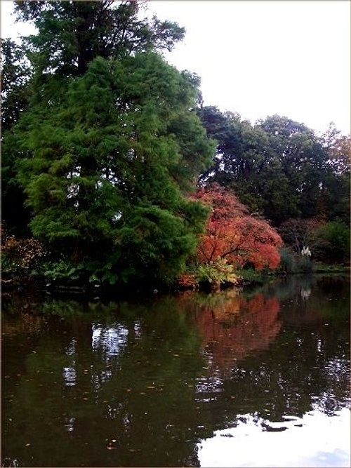 Exbury Gardens