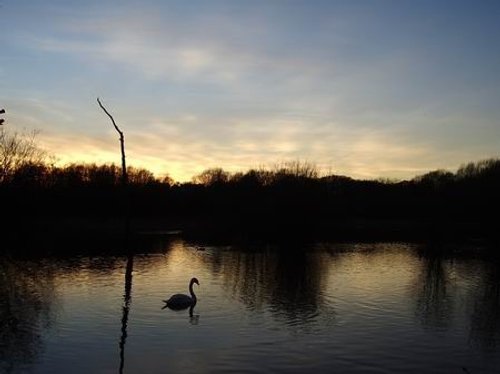 Stanley Marsh, Stanley, West Yorkshire