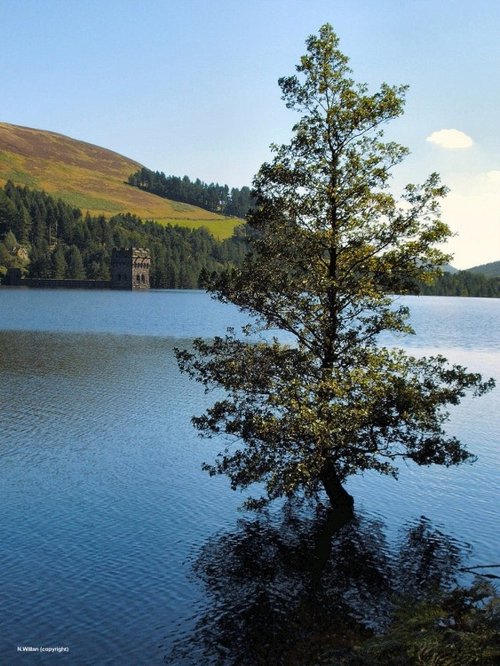 Ladybower Reservoir