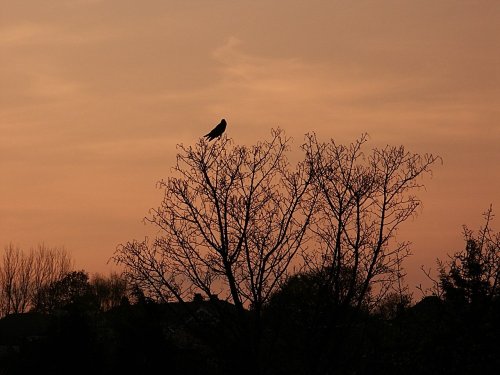 Rothwell Park, Leeds