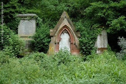 Highgate Cemetery