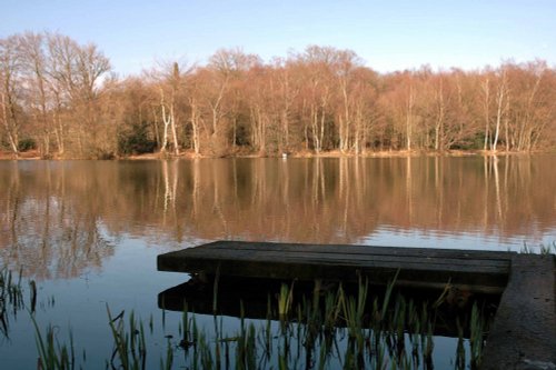 Hammer Ponds near Slaugham in West Sussex